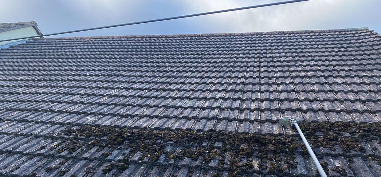 roof cleaning torbay